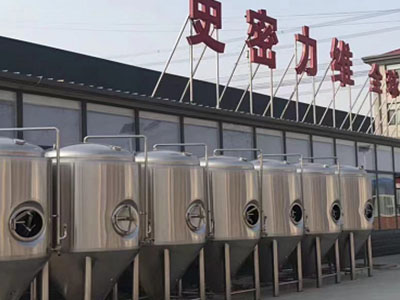 新蔡精酿啤酒设备厂—市场规模与跨界新需求
